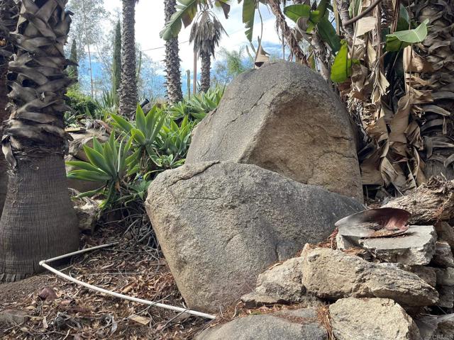 MLS #NDP2510220 image #35