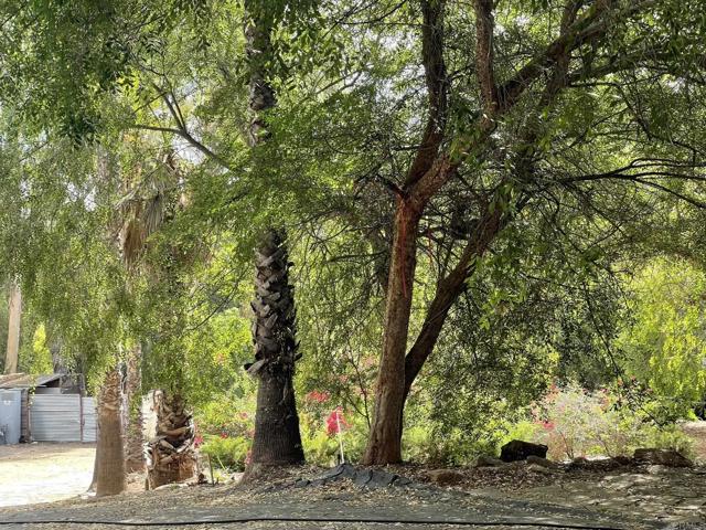 MLS #NDP2510220 image #42