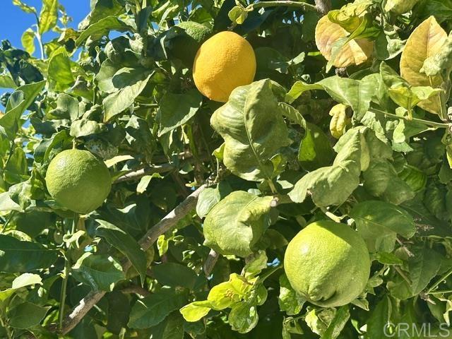 MLS #NDP2510279 image #52