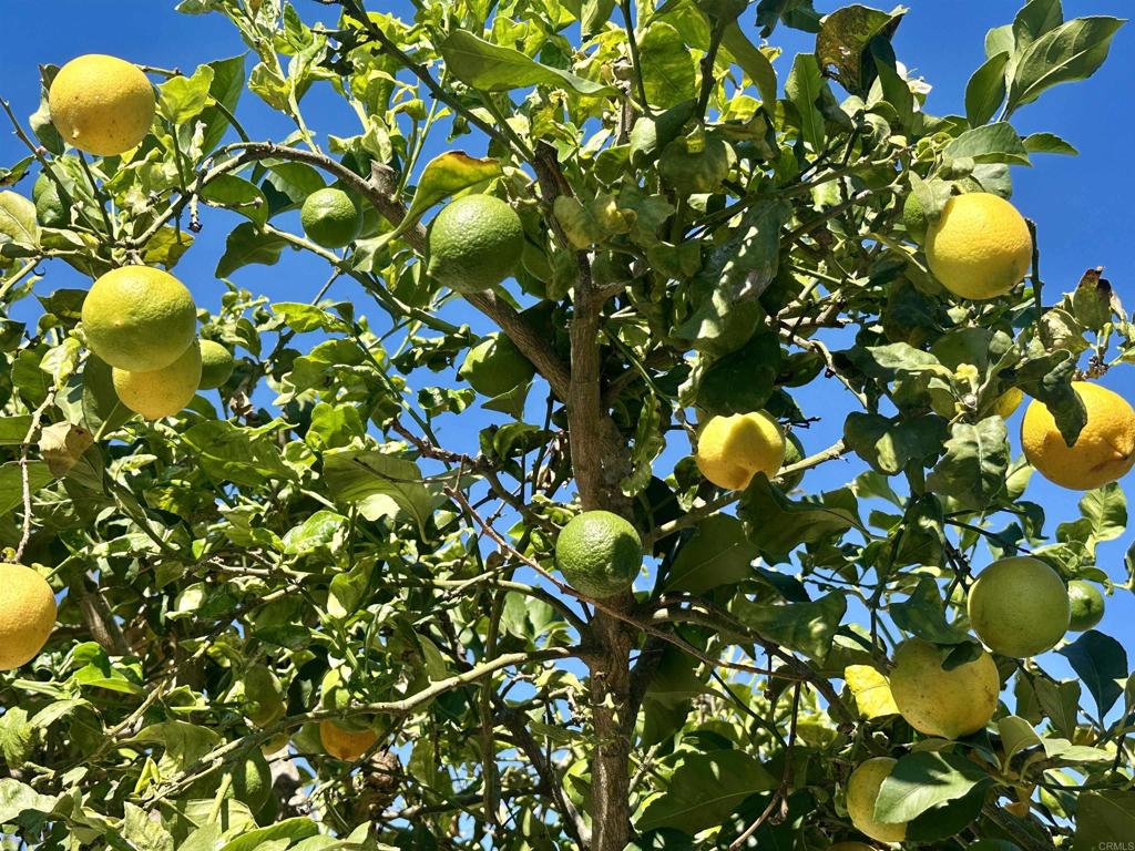 MLS #NDP2510279 image #54