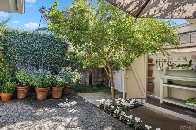 MLS #NDP2510292 image #38