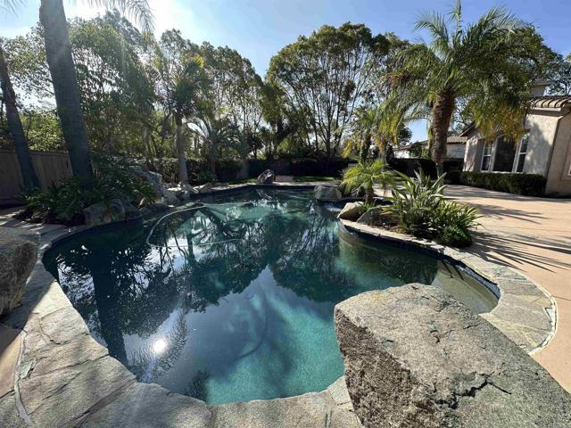 MLS #NDP2510309 image #32