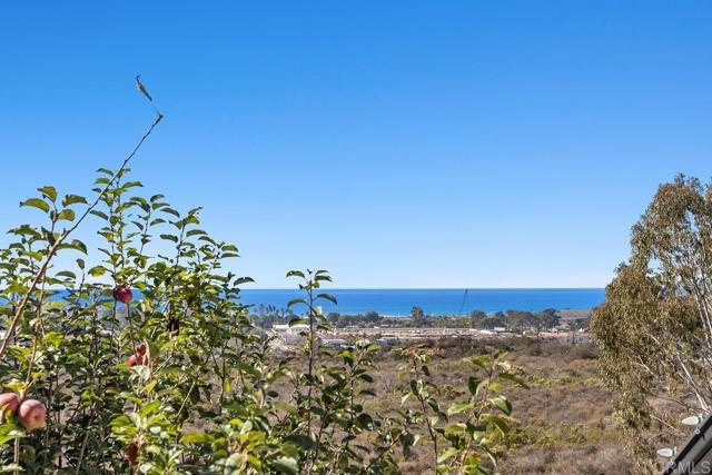 MLS #NDP2510326 image #37