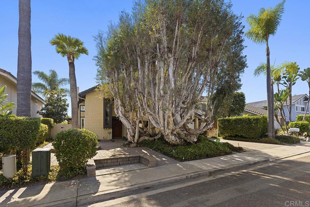 MLS #NDP2510381 image #5