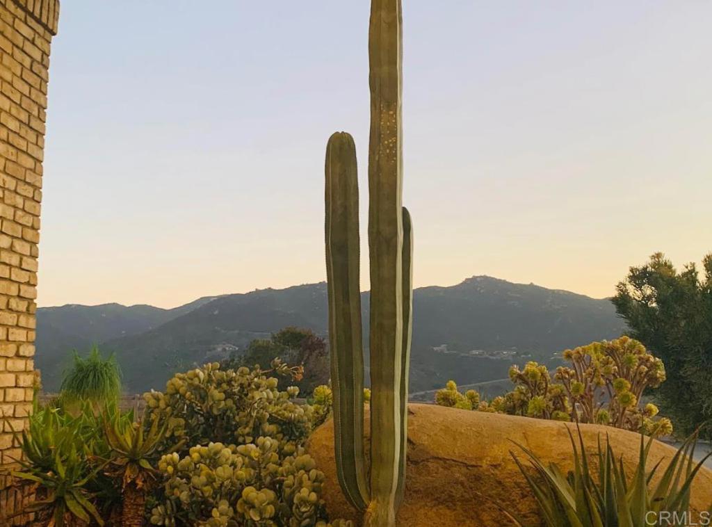 MLS #NDP2510463 image #6