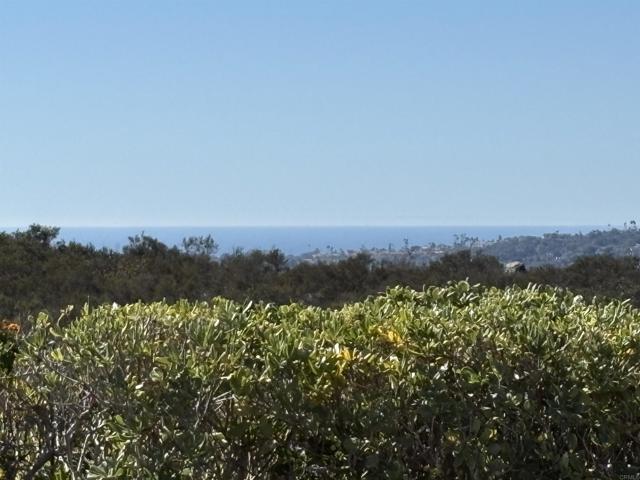 MLS #NDP2510469 image #2