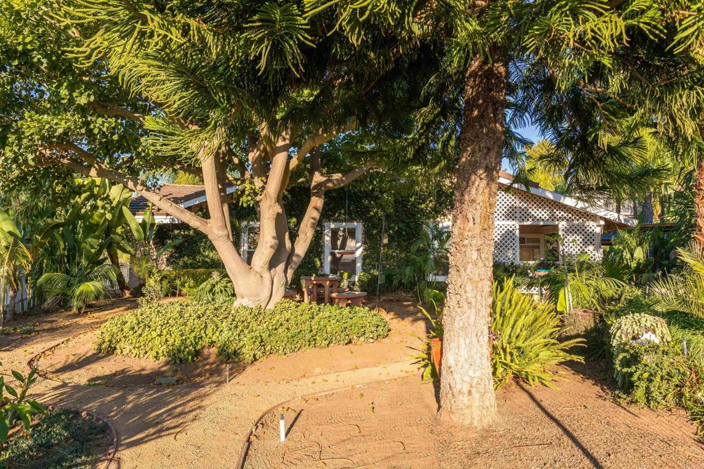 MLS #NDP2510539 image #34