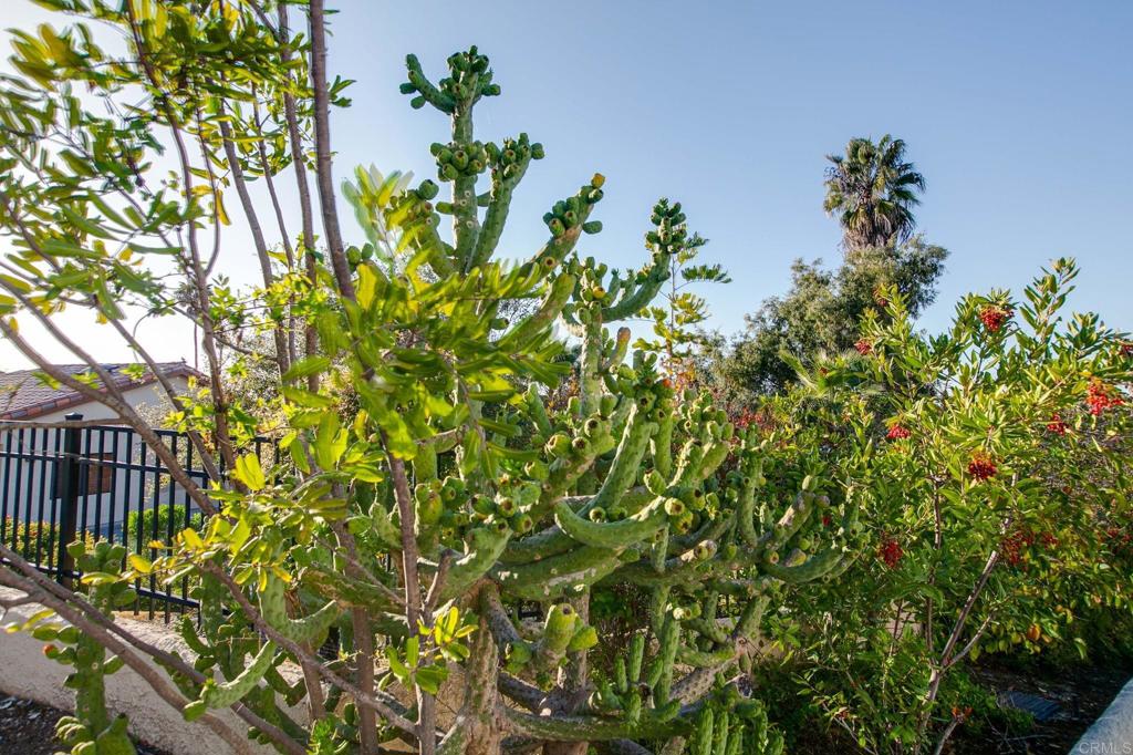 MLS #NDP2510575 image #46