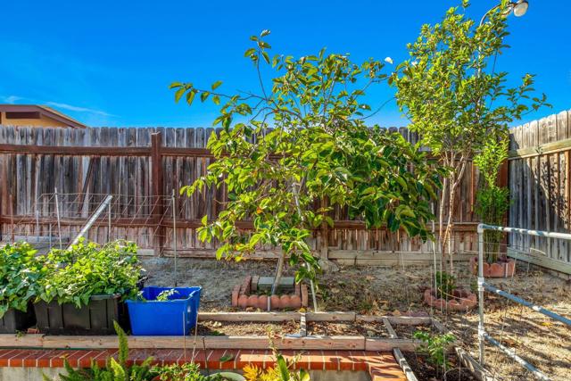 MLS #NDP2510626 image #24