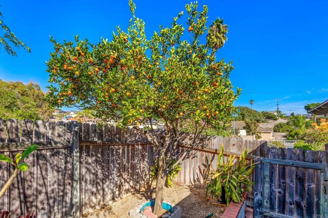 MLS #NDP2510626 image #26