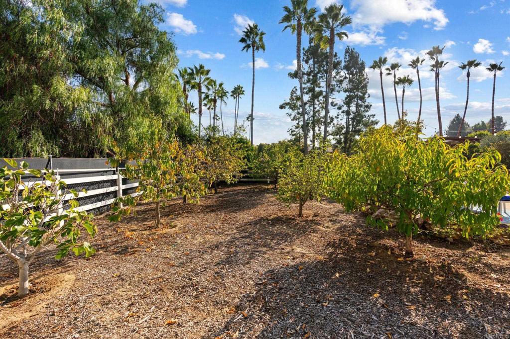 MLS #NDP2510686 image #5