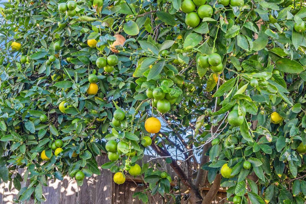 MLS #NDP2510748 image #24