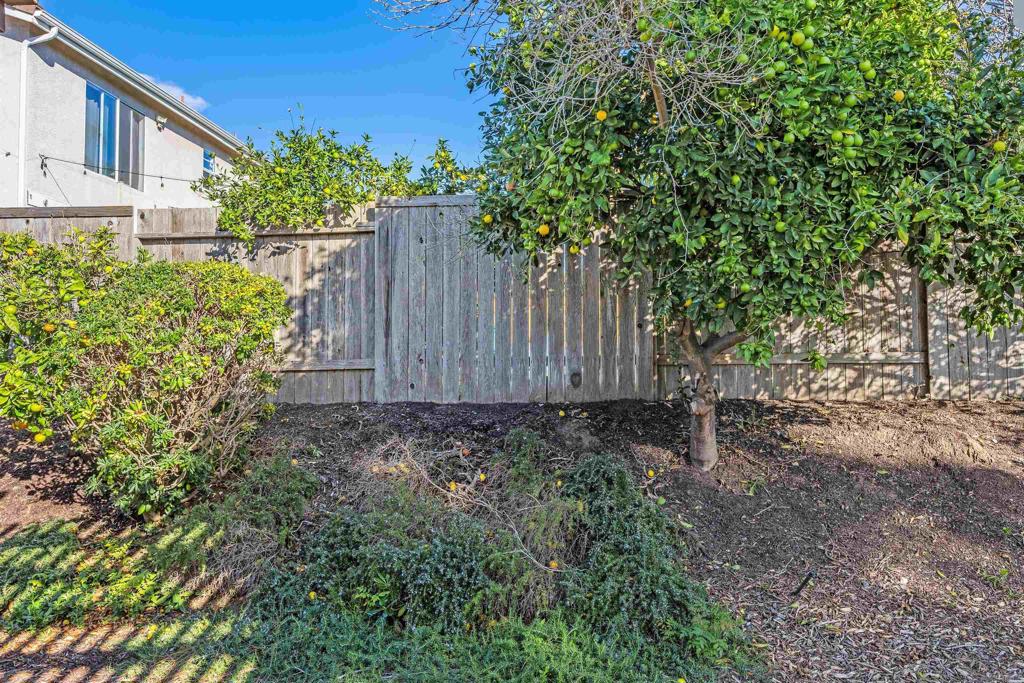 MLS #NDP2510748 image #25