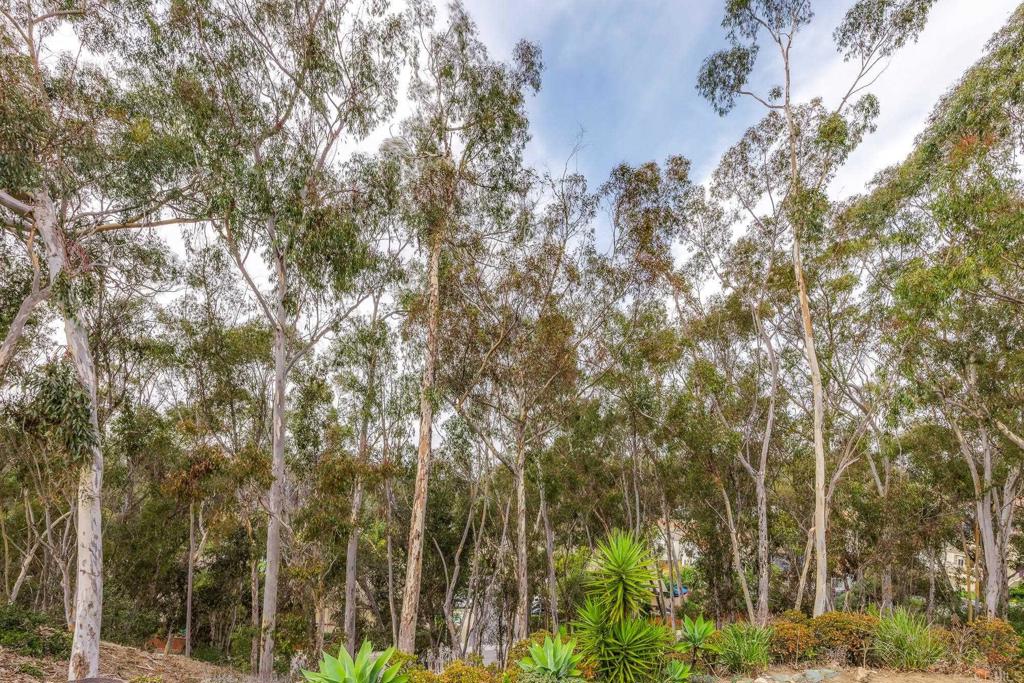 MLS #NDP2510786 image #1