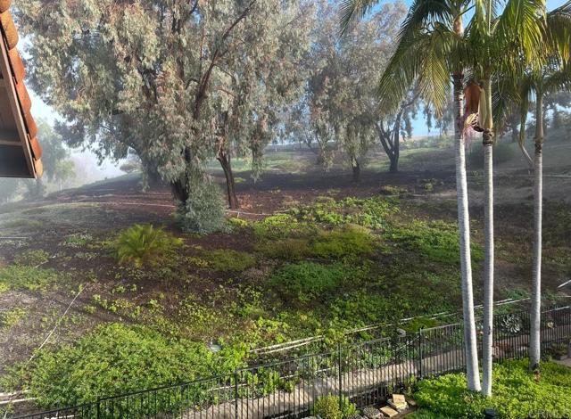 MLS #NDP2510896 image #45