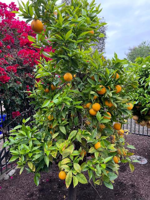 MLS #NDP2510896 image #48