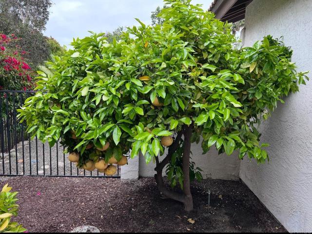 MLS #NDP2510896 image #49