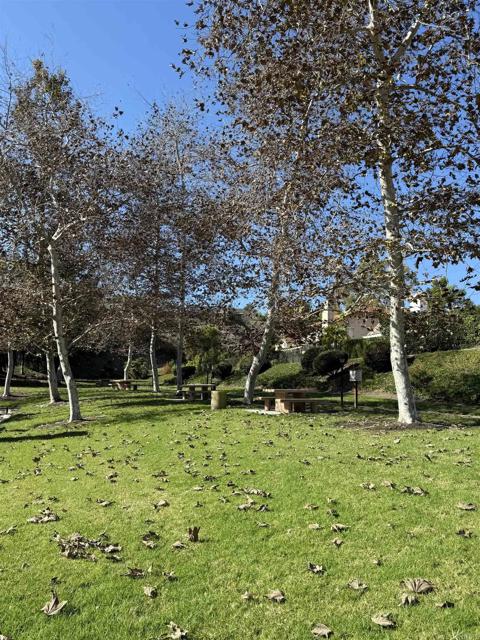 MLS #NDP2510896 image #56