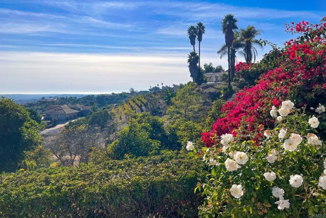 MLS #NDP2510913 image #45