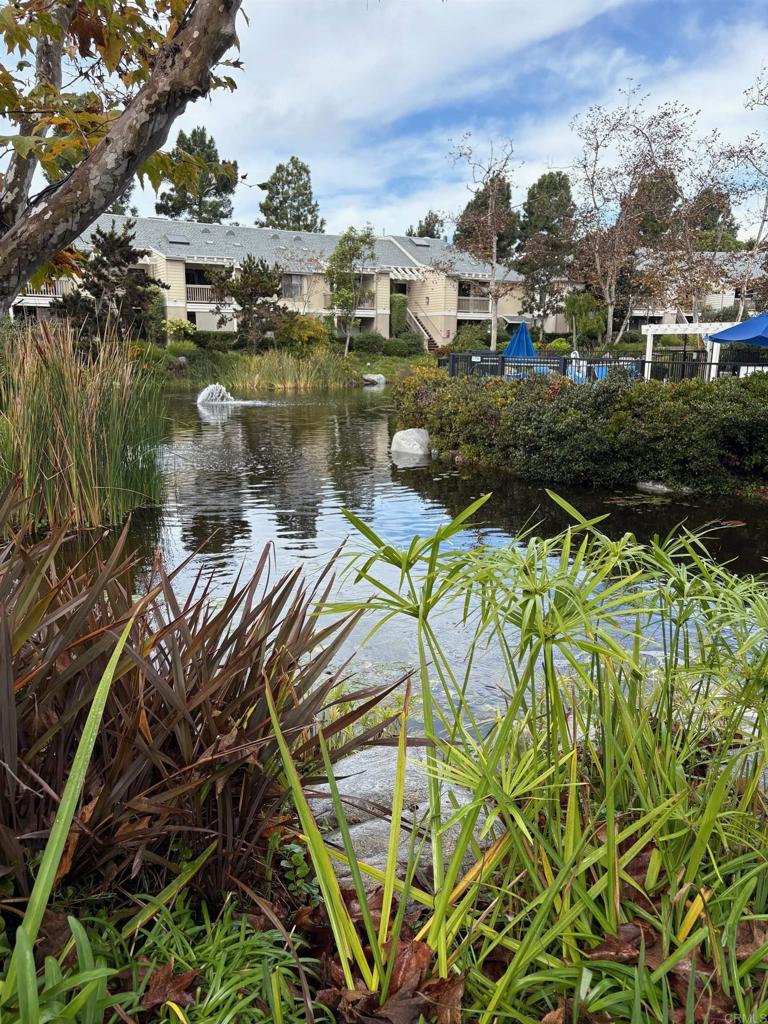 MLS #NDP2510917 image #17