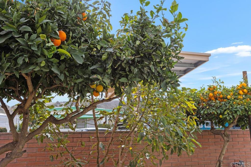 MLS #NDP2510960 image #35