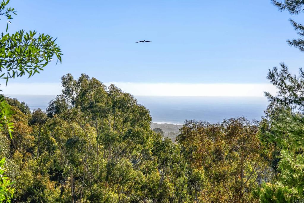 MLS #NDP2511096 image #20