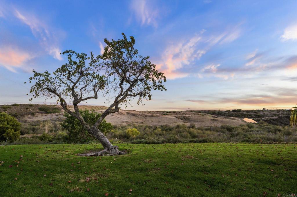 MLS #NDP2511216 image #28