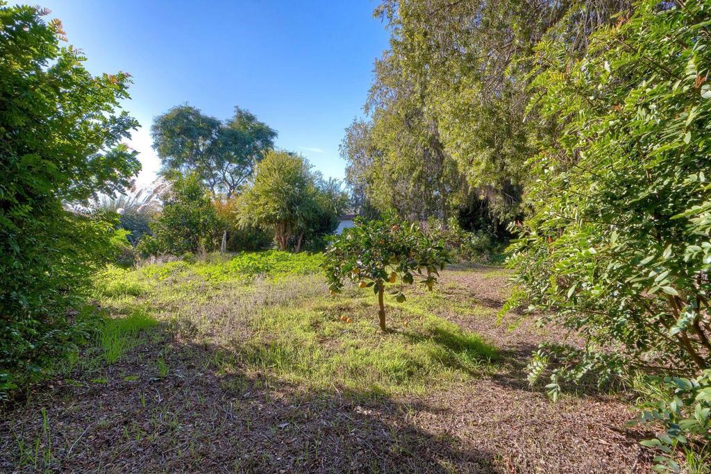 MLS #NDP2511223 image #31