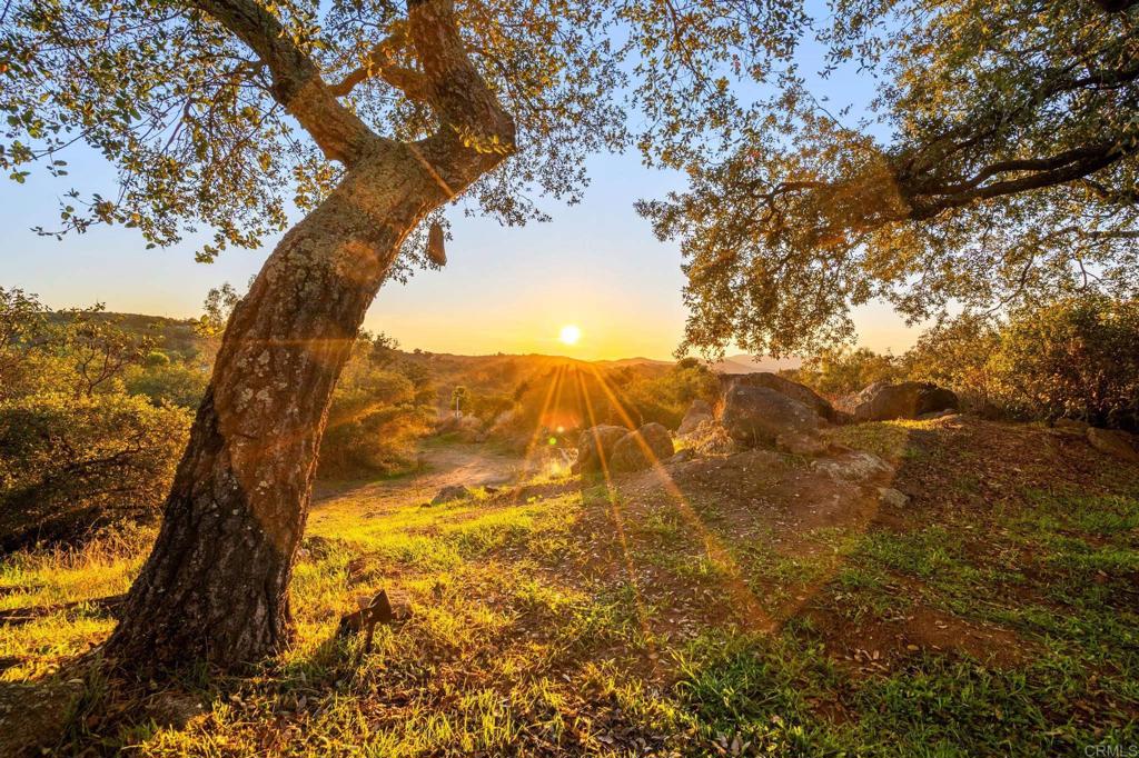 MLS #NDP2511272 image #26