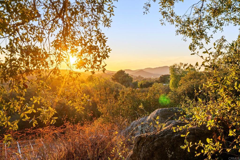 MLS #NDP2511272 image #28