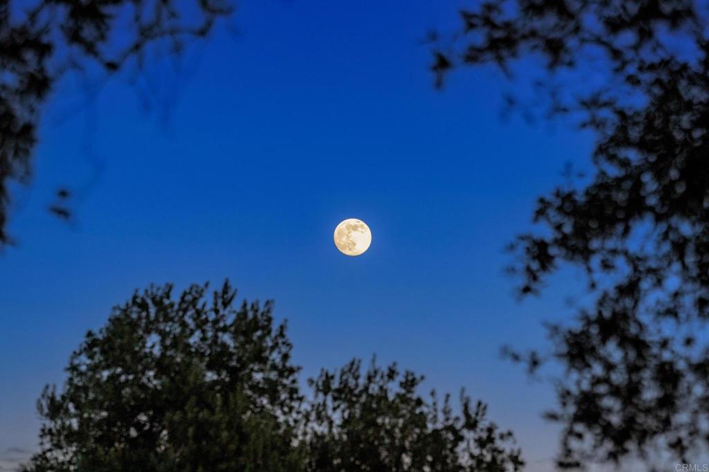 MLS #NDP2511272 image #32