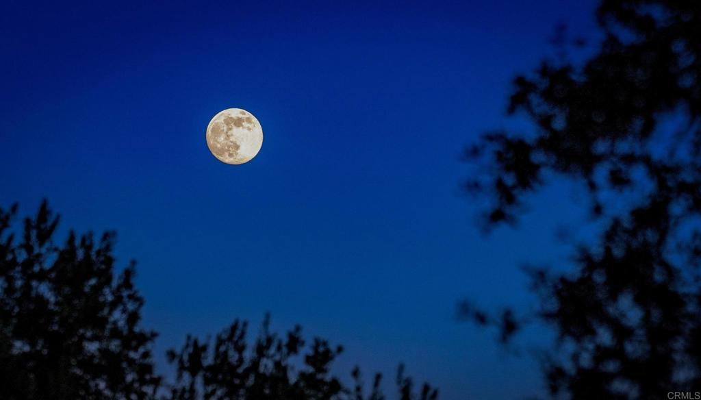 MLS #NDP2511272 image #37