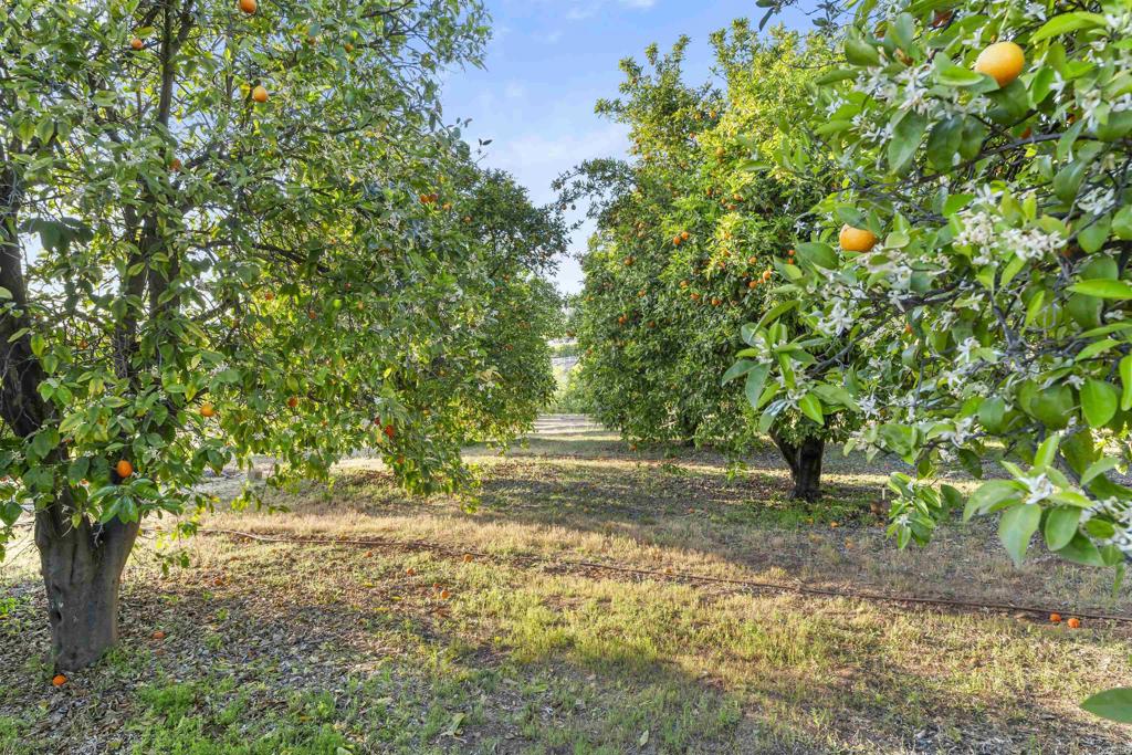 MLS #NDP2511282 image #35