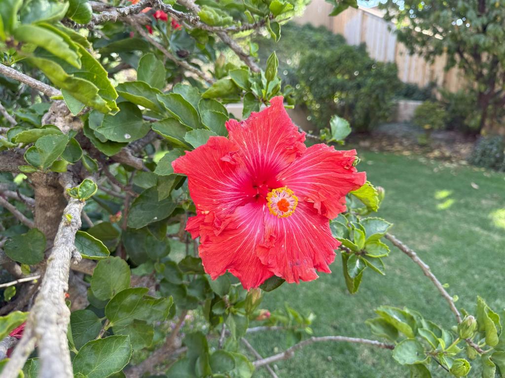 MLS #NDP2511308 image #25