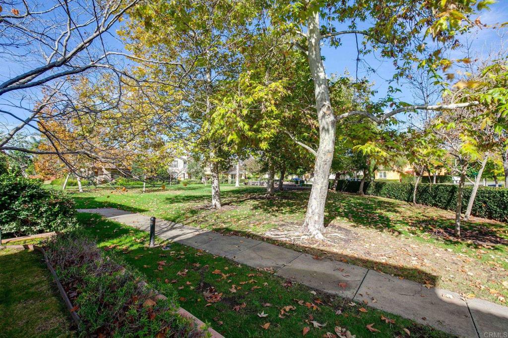 MLS #NDP2511565 image #3