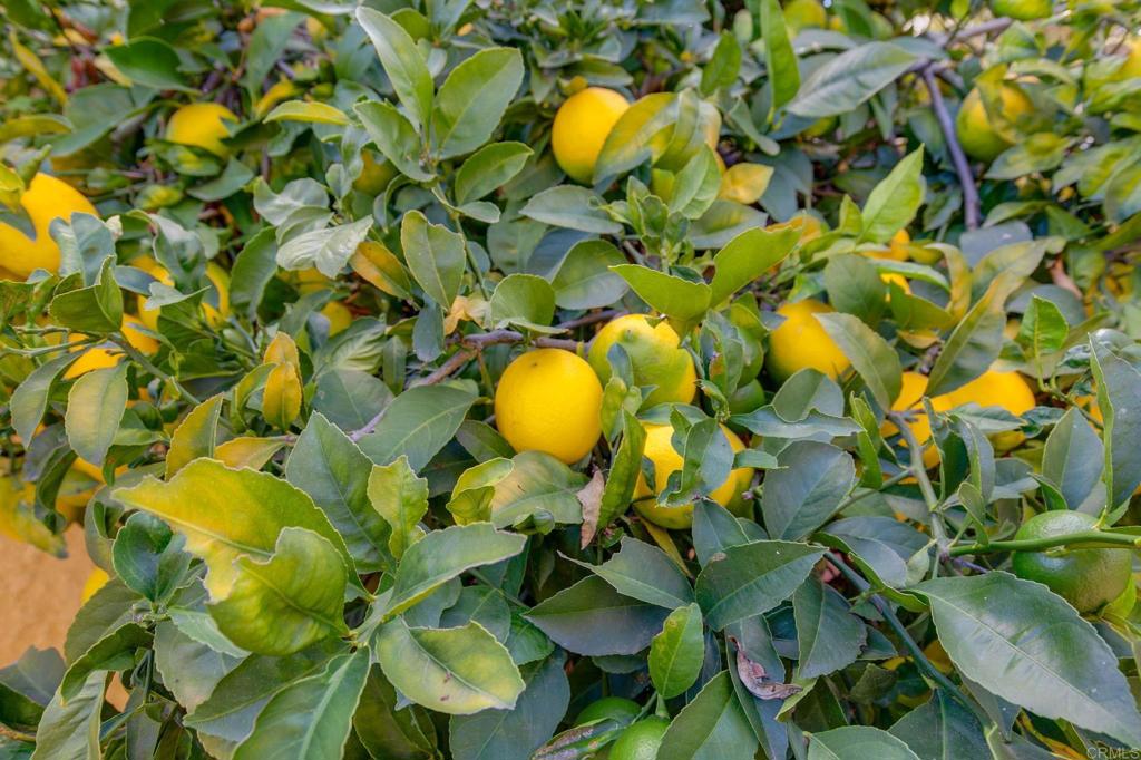 MLS #NDP2511565 image #33