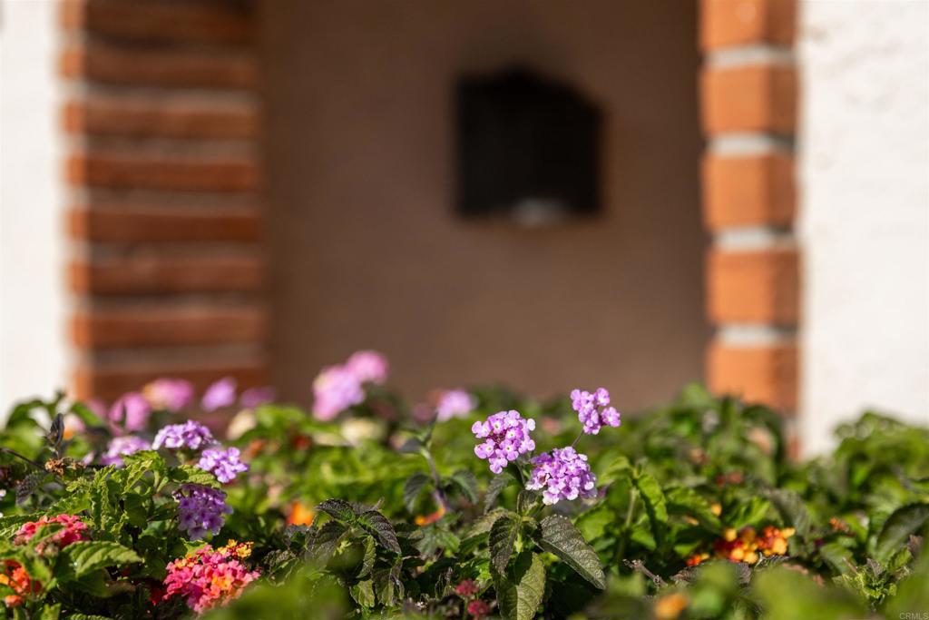 MLS #NDP2511614 image #1