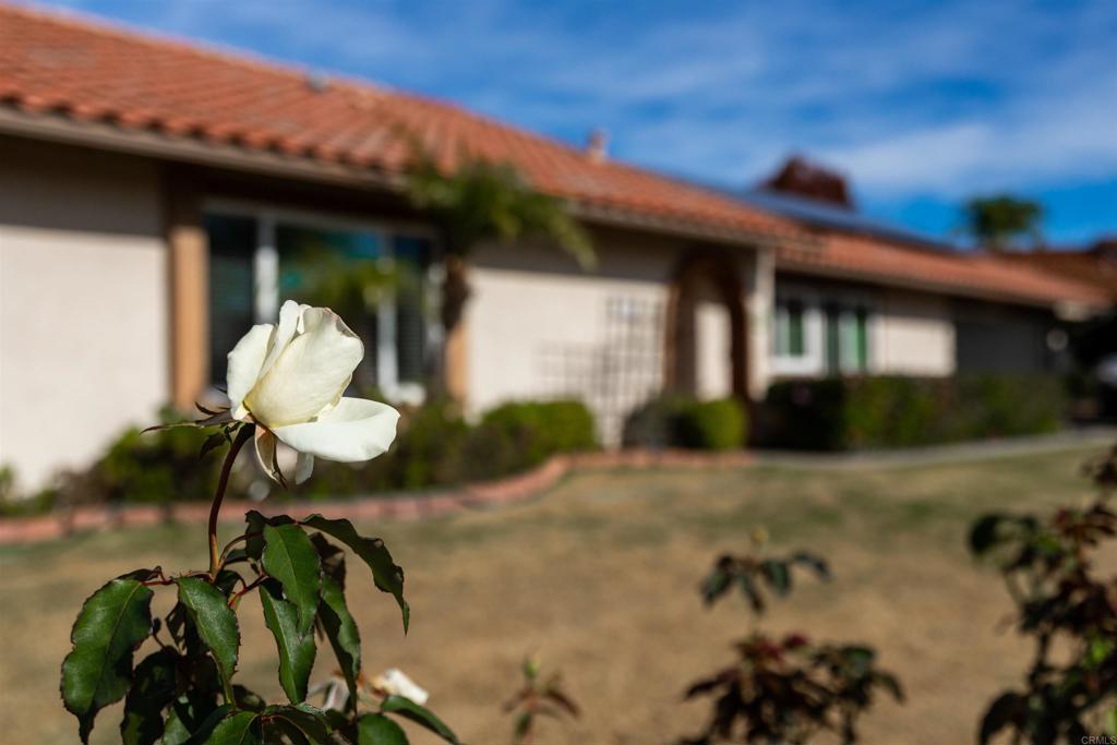 MLS #NDP2511614 image #2