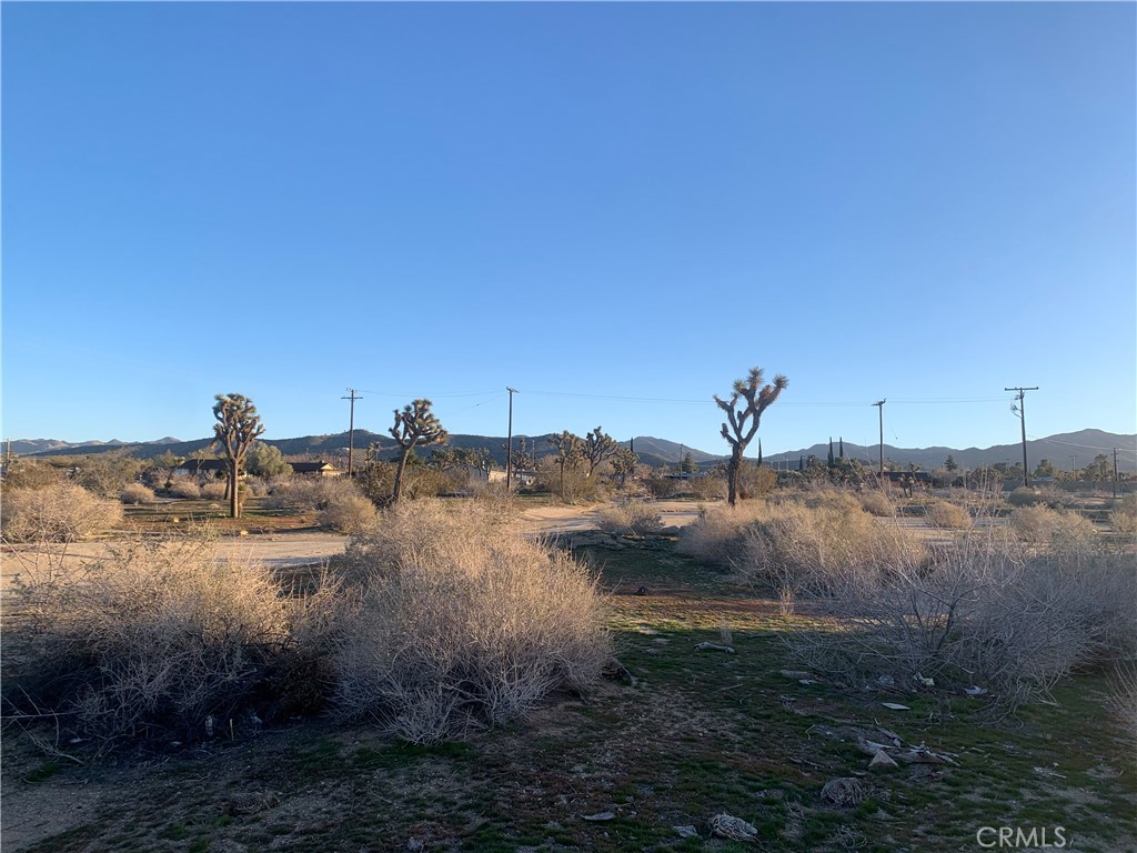 MLS #NP23100972 image #11