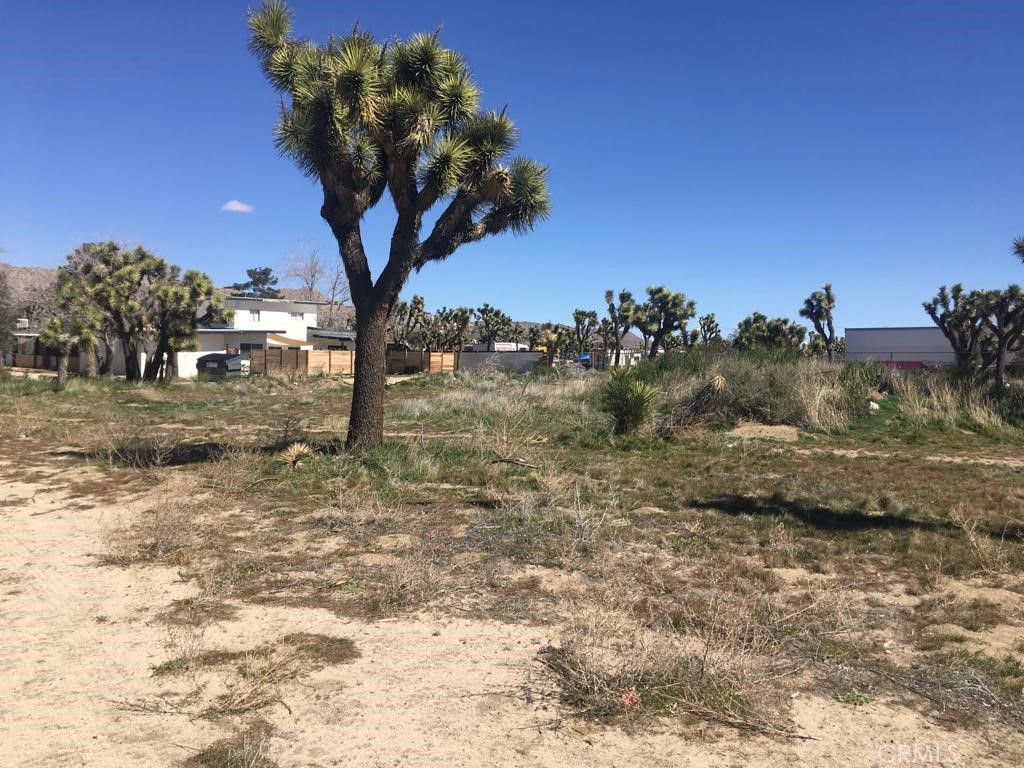 MLS #NP24045527 image #2