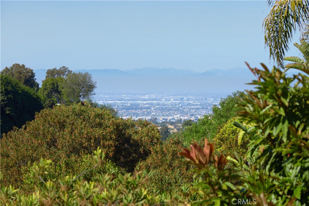 MLS #NP24138991 image #34