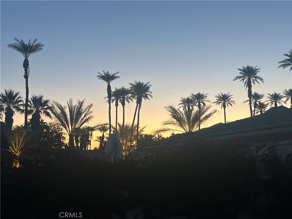 MLS #NP25019798 image #16