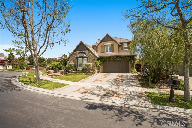 MLS #NP25063870 image #5