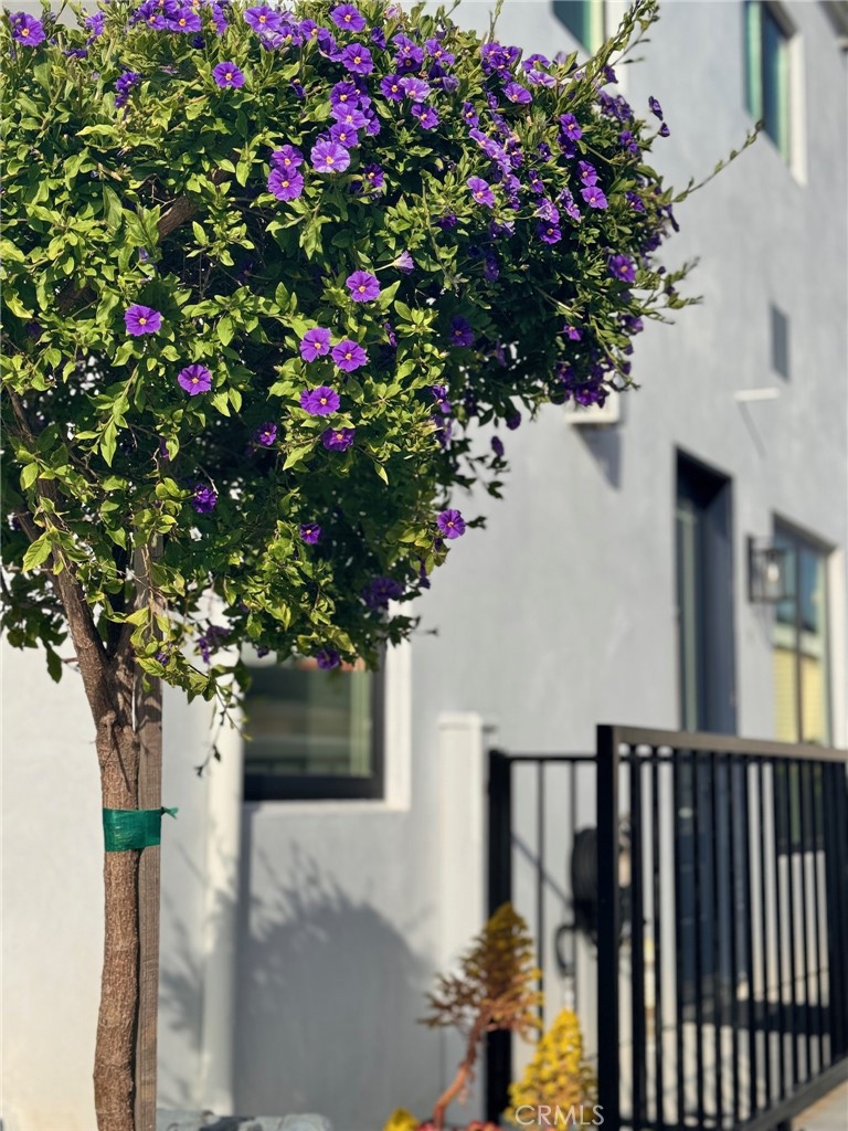 MLS #NP25073787 image #20