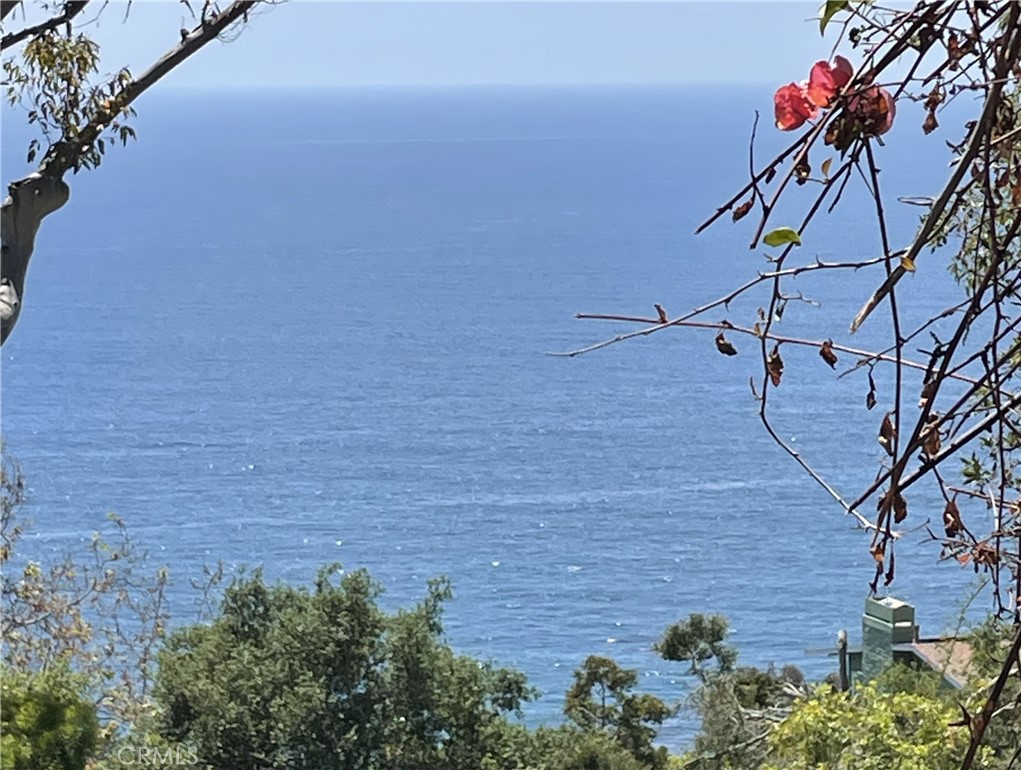 MLS #NP25082615 image #2