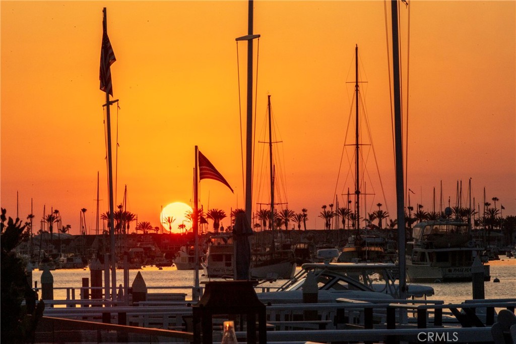 MLS #NP25084135 image #53