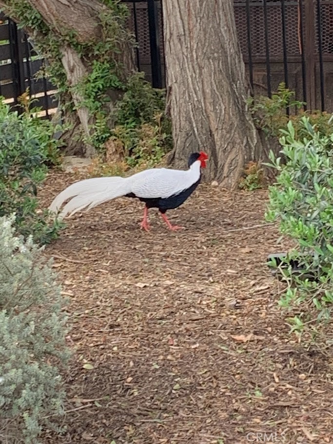 MLS #NP25114872 image #10