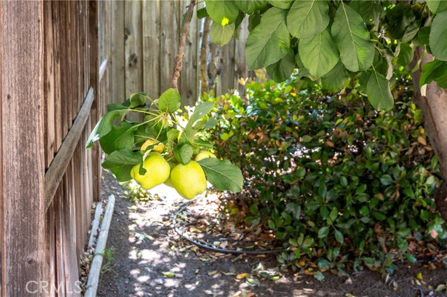 MLS #NP25127727 image #32