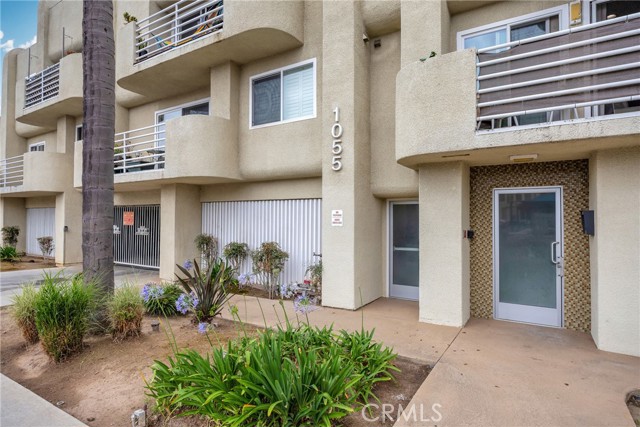 MLS #NP25130690 image #3