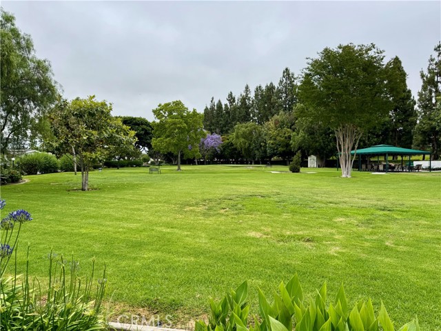 MLS #NP25131734 image #25